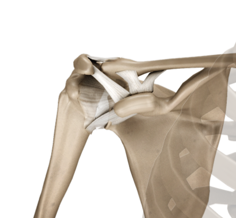 Acromioclavicular (AC) Joint Reconstruction